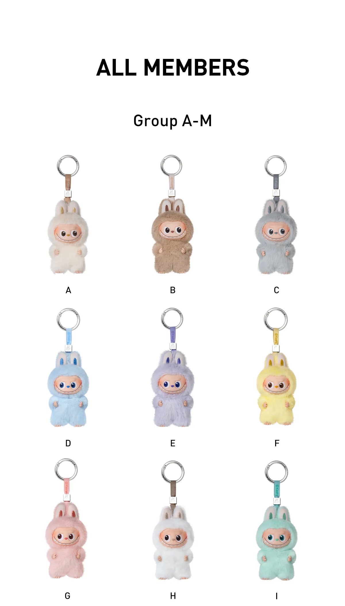 POP MART The Monsters Labubu Pin For Love A bis M All Members Blindbox Land