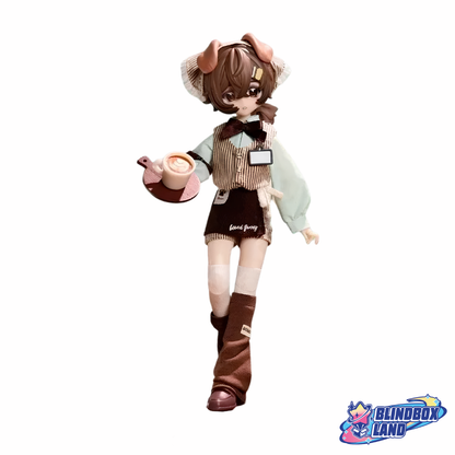 BoxedFurry Articulated Doll BJD Series, Blindbox