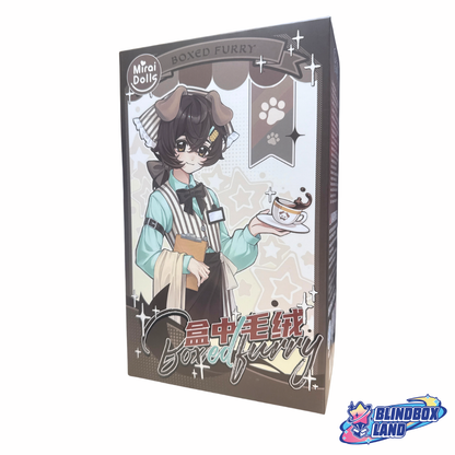 BoxedFurry Articulated Doll BJD Series, Blindbox