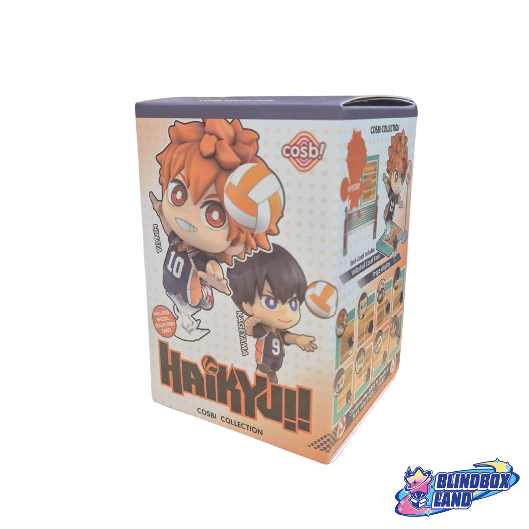 Haikyuu! Cosbi Collection Series, Blindbox