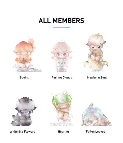 POP MART Dimoo World Shape Of Nature All members Blindbox Land