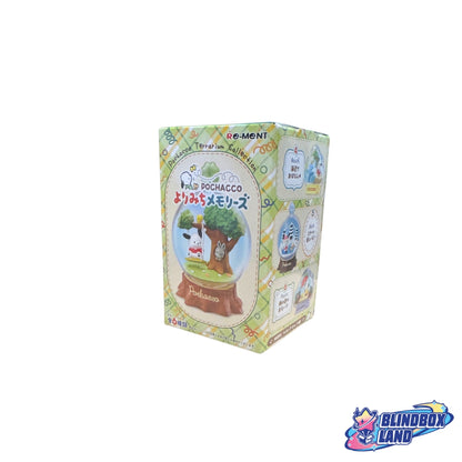 Re Ment Sanrio Pochacco Terrarium Collection Single Box Blindbox Land