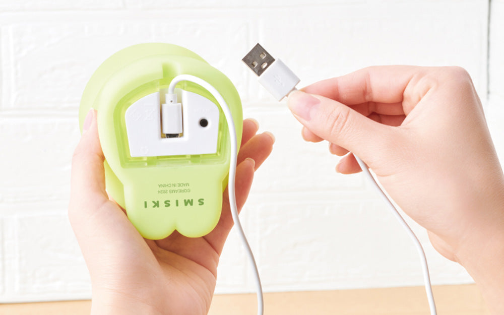 SMISKI Touch Light Aufladen How To Use Blindbox Land