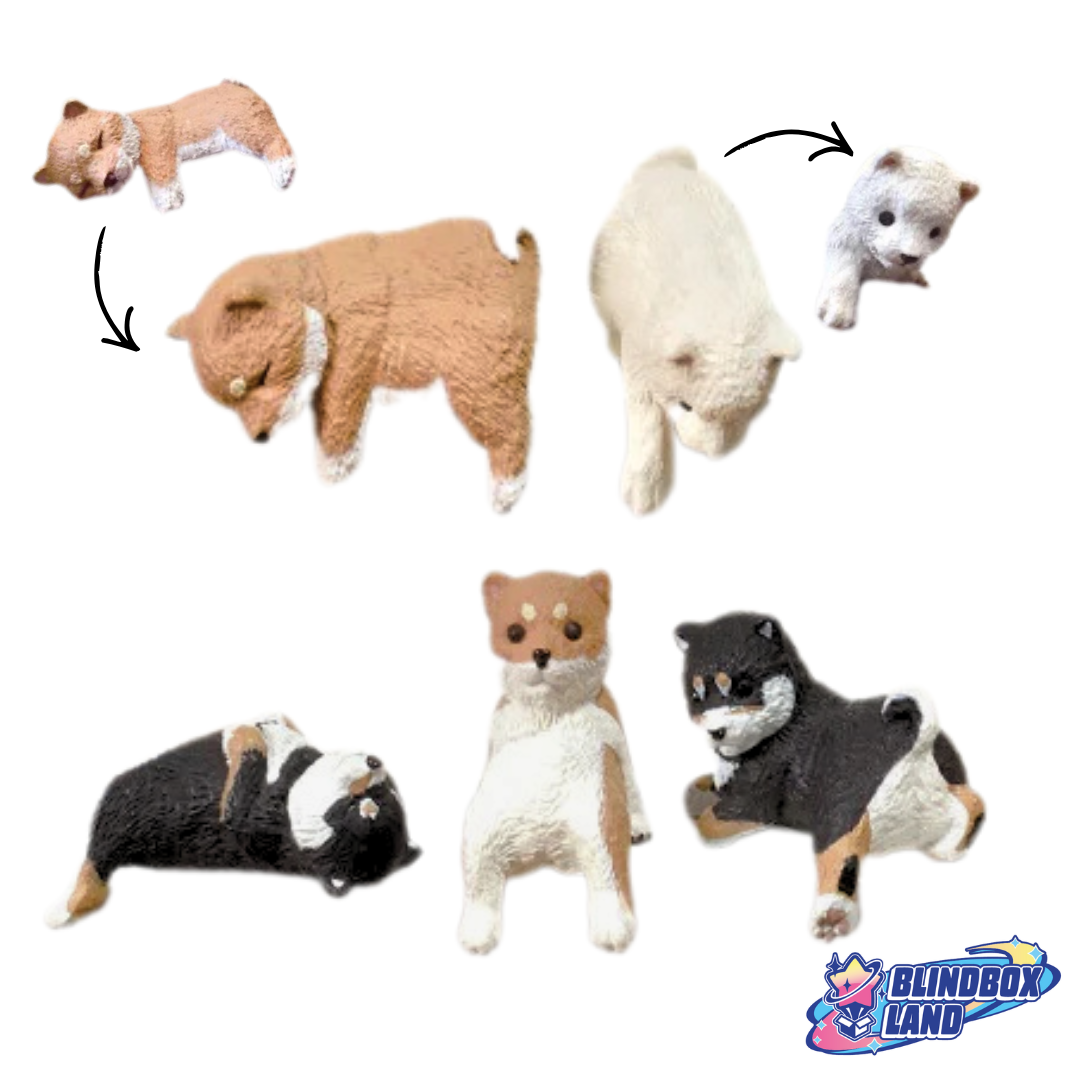 Shiba Chilling Mini Figure Series Blindbox Land