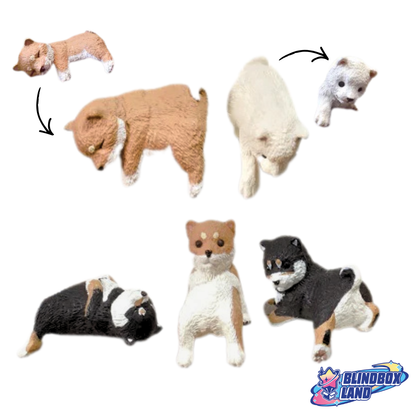 Shiba Chilling Mini Figure Series Blindbox Land