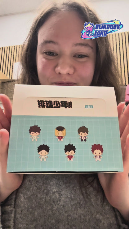 Haikyu!! Plush Doll Brooch Keyring Vol. 2 Series, Blindbox