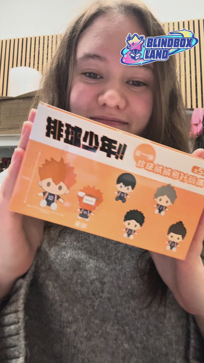 Haikyu!! Plush Doll Brooch Keyring Vol. 1 Series, Blindbox